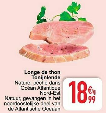 Longe de thon tonijnlende