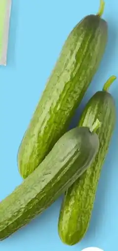 ALDI Snack komkommers aanbieding