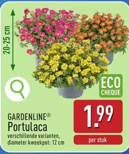 ALDI Gardenline portulaca aanbieding