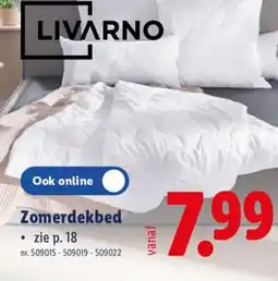 Lidl Livarno Zomerdekbed aanbieding