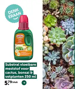 AVEVE Substral vloeibare meststof voor cactus, bonsai & vetplanten 250 ml aanbieding