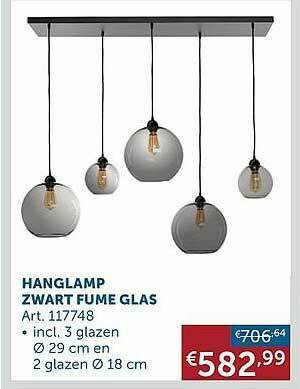 Zelfbouwmarkt Hanglamp Zwart Fume Glas aanbieding