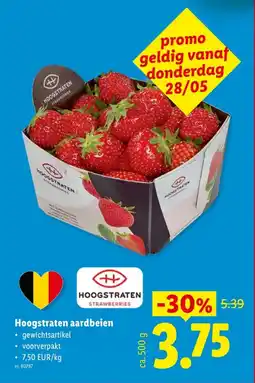 Lidl Hoogstraten Aardbeien aanbieding
