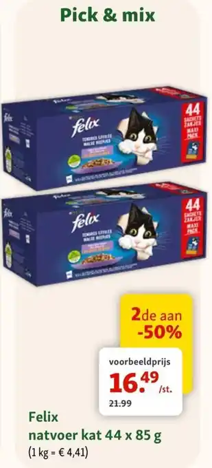 Felix natvoer kat