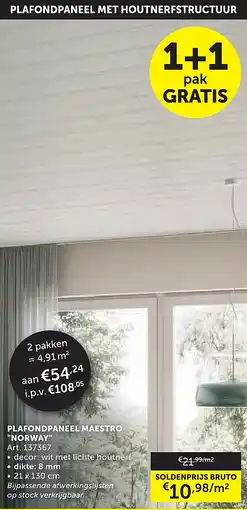 Zelfbouwmarkt PLAFONDPANEEL MAESTRO NORWAY aanbieding