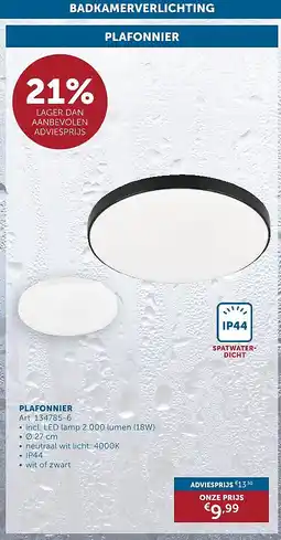 Zelfbouwmarkt PLAFONNIER aanbieding