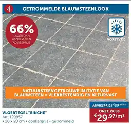 Zelfbouwmarkt VLOERTEGEL BINCHE aanbieding