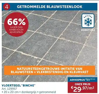 VLOERTEGEL BINCHE
