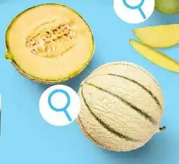 ALDI Cantaloupemeloen aanbieding
