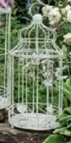 Van Cranenbroek O'malley cage décorative pour oiseaux aanbieding