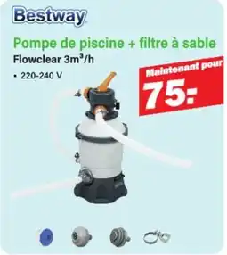Van Cranenbroek Bestway Pompe de Piscine + Filtre à Sable aanbieding
