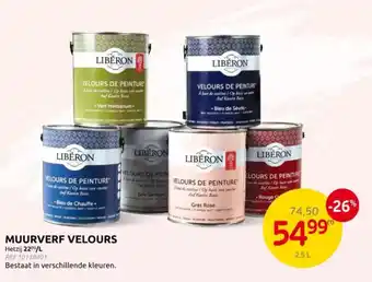 Brico Muurverf velours aanbieding
