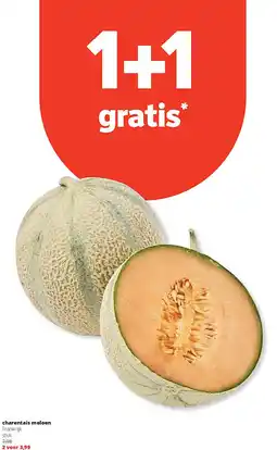 Spar charentais meloen aanbieding