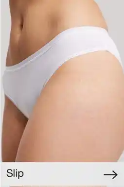 Zeeman Slip aanbieding