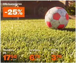 Kwantum Alle kunstgras aanbieding