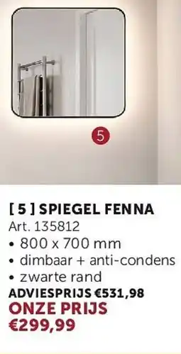 Zelfbouwmarkt Spiegel fenna aanbieding