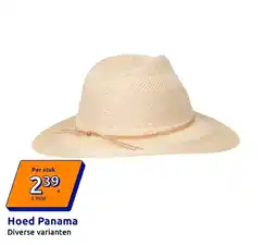 Action Hoed Panama aanbieding