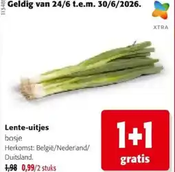 Colruyt Lente uitjes bosje aanbieding