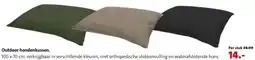 Intratuin Outdoor hondenkussen. aanbieding