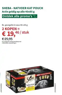 Horta Sheba natvoer kat pouch aanbieding