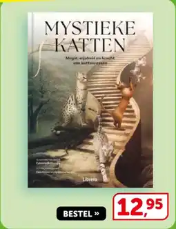 Boekenvoordeel Mystieke katten aanbieding