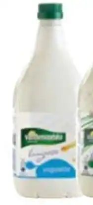 Horeca totaal Vandemoortele vinaigrette met yoghurt aanbieding