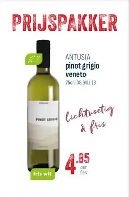 Horeca totaal Antusia pinot grigio veneto aanbieding