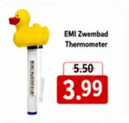 NH Market Emi zwembad thermometer aanbieding