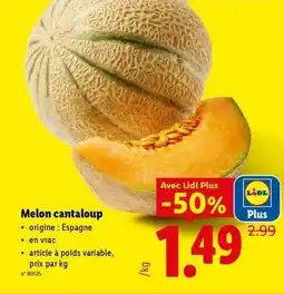 Lidl Melon cantaloup aanbieding