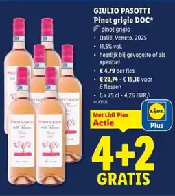 Lidl Giulio pasotti pinot grigio DOC aanbieding