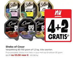 Jumbo Sheba of Cesar aanbieding