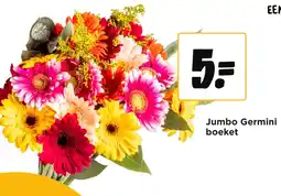 Jumbo Jumbo Germini boeket aanbieding