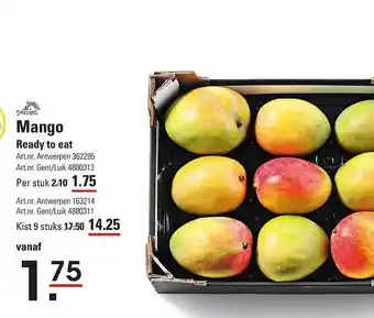Mango Ready To Eat