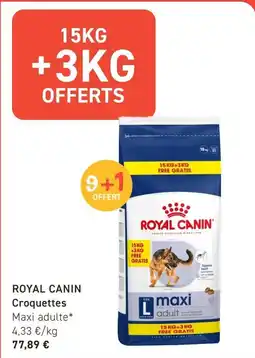 Tom&Co ROYAL CANIN Croquettes aanbieding