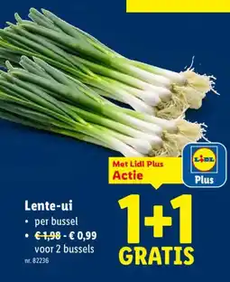 Lidl Lente-ui per bussel aanbieding