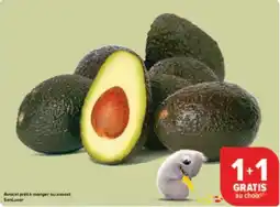 Carrefour Drive Avocat prêt à manger ou avocat sanlucar aanbieding