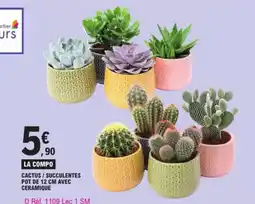 E.Leclerc Cactus / Succulentes Pot De Avec Ceramique aanbieding