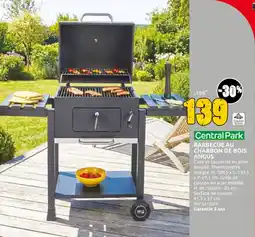 Brico Depot Barbecue au charbon de bois angus aanbieding