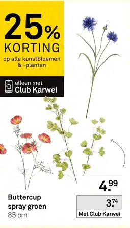 Karwei Buttercup spray groen aanbieding