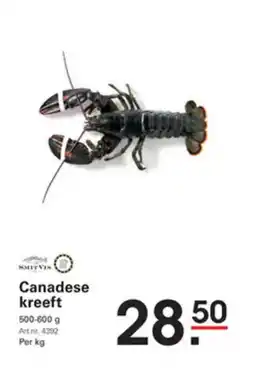 Sligro Canadese kreeft aanbieding