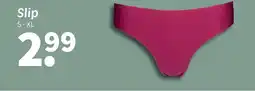Wibra Slip aanbieding
