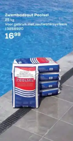 Supra Bazar Zwembadzout Poolsel aanbieding