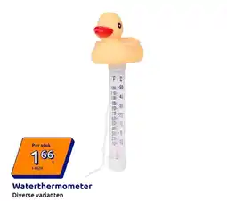Action Waterthermometer aanbieding