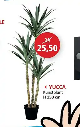 Weba YUCCA aanbieding