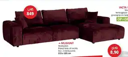 Weba MUSIGNY aanbieding