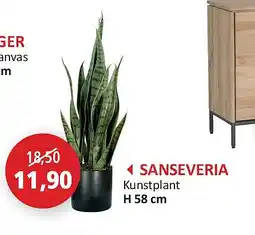 Weba SANSEVERIA aanbieding