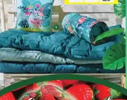 Norma Matelas pour palette ou coussin aanbieding