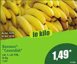Norma Bananes Cavendish aanbieding