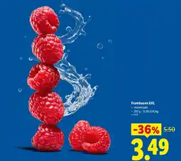 Lidl Frambozen XXL aanbieding