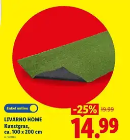Lidl Kunstgras, ca. 100 x 200 cm aanbieding